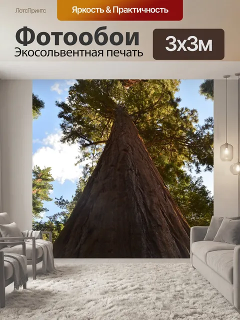 Фотообои Лес