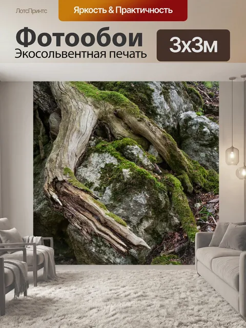 Фотообои Корень