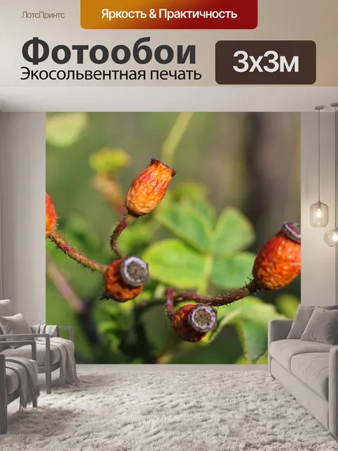 Фотообои Природа