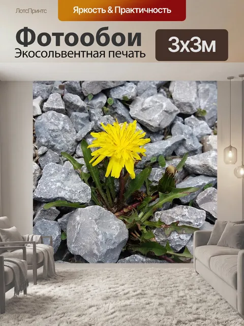 Фотообои Цветок