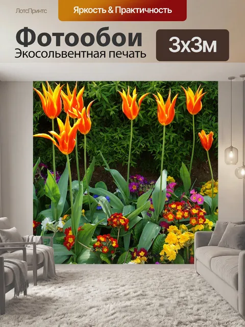 Фотообои Париж