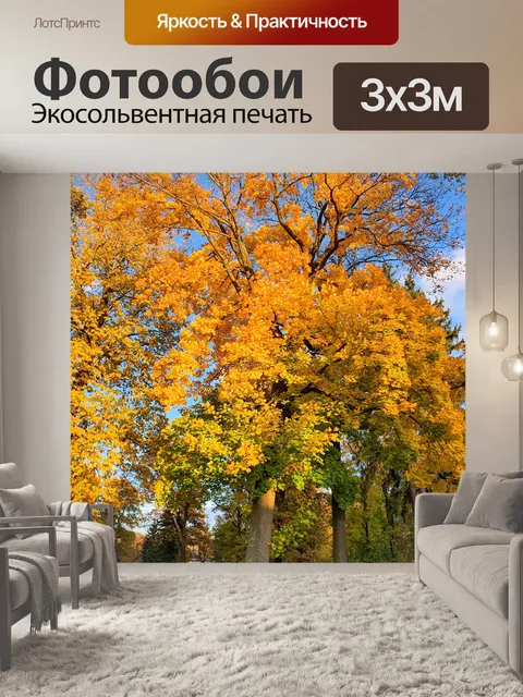 Фотообои Осеннее дерево в парке
