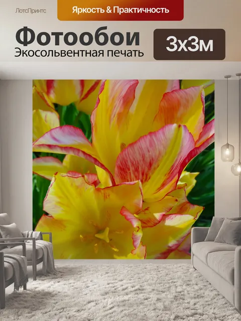 Фотообои Тюльпаны