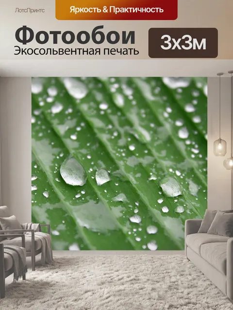 Фотообои Зеленый лист банан