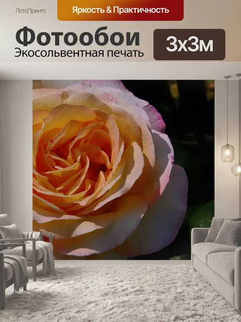 Фотообои Большая роза