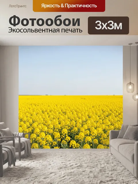Фотообои Желтое рапсовое поле