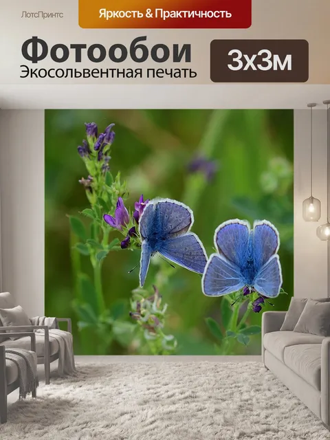 Фотообои Бабочки