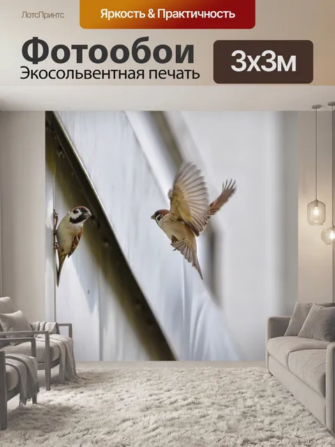 Фотообои Животное