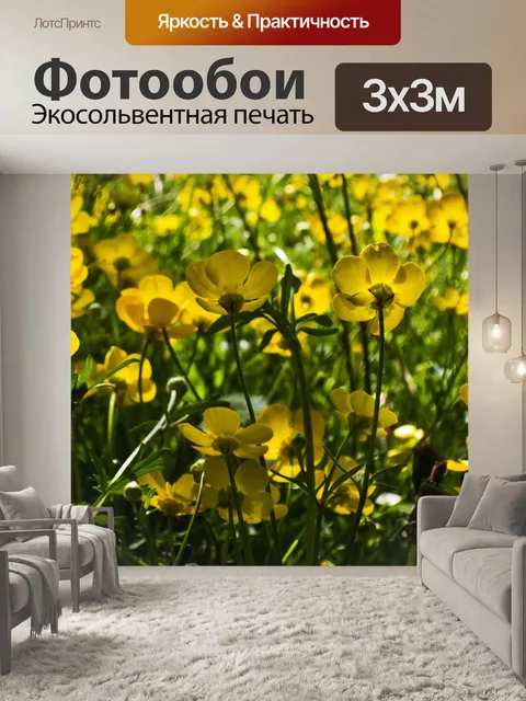 Фотообои Ницца цветов