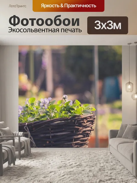 Фотообои Красивый