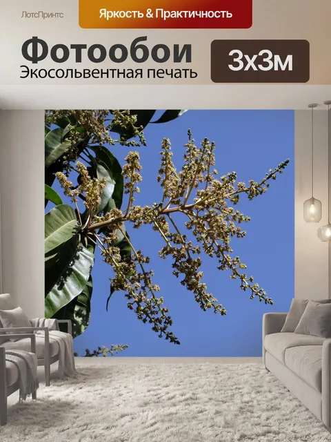 Фотообои Цветы