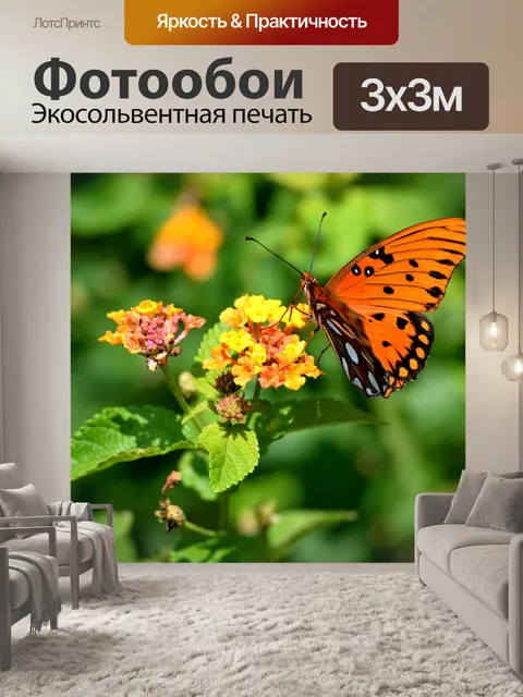 Фотообои Яркая фруктовая бабочка