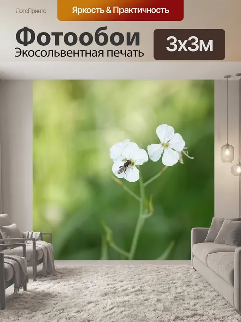 Фотообои Мини-с