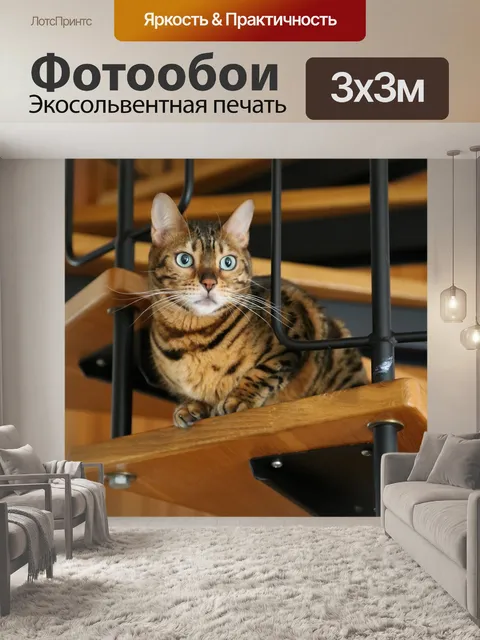 Фотообои Животные