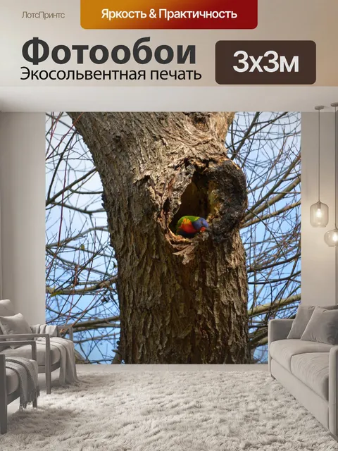 Фотообои Австралийский Розелла