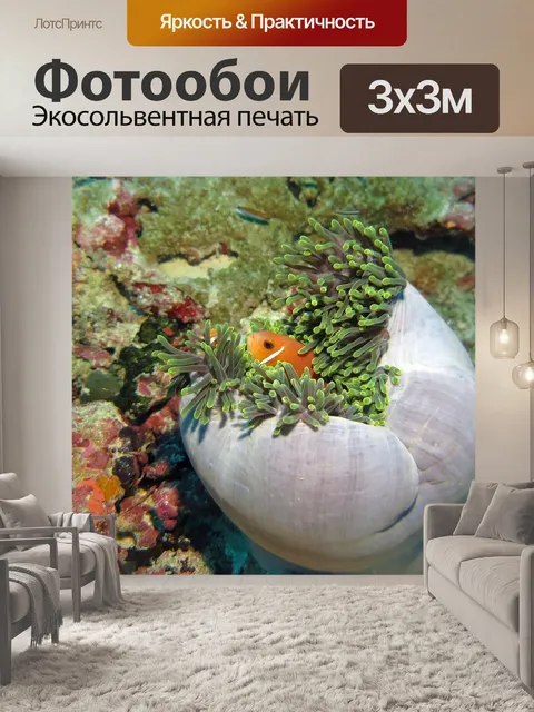 Фотообои Немо