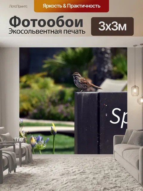 Фотообои Воробей на курорте