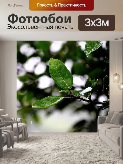 Фотообои Дождь
