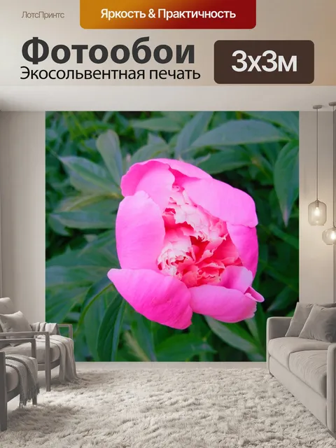 Фотообои Нежность