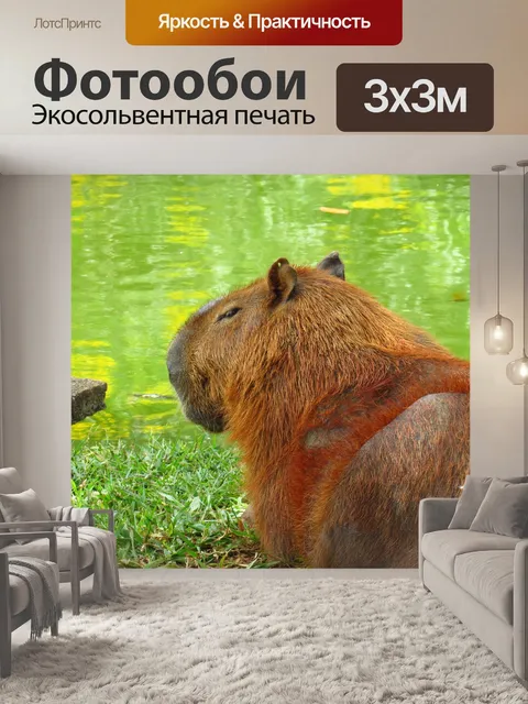 Фотообои Пака