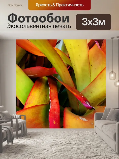 Фотообои Красочный суккулент