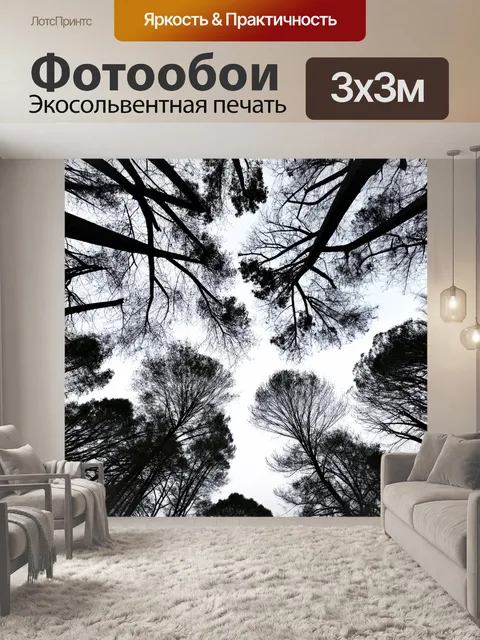 Фотообои черно-белый с изоляцией леса, где на фоне чистого неба видно пересечение веток
