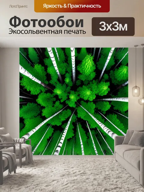 Фотообои пейзаж с березки
