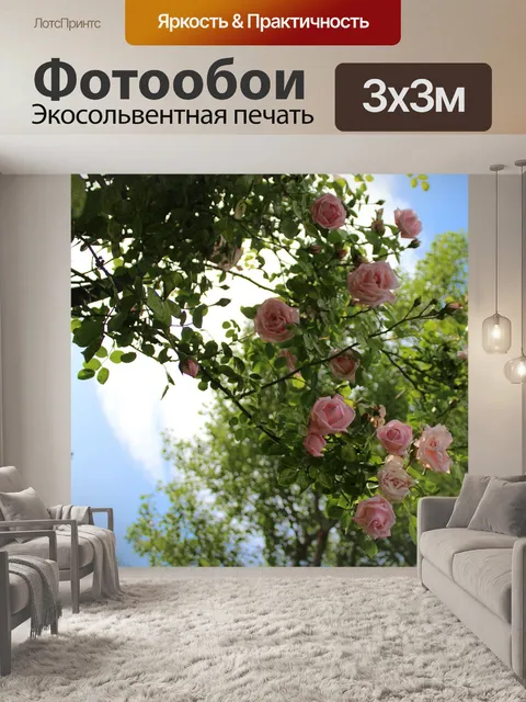 Фотообои Роза
