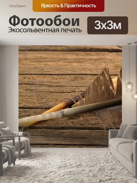 Фотообои конец иглы и пера дикобраза