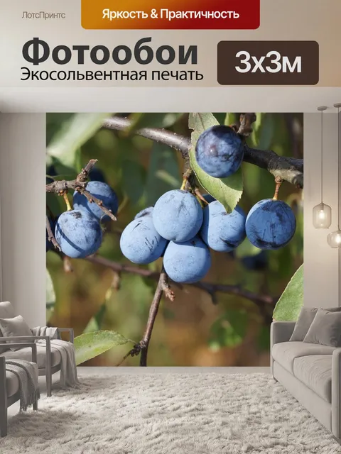 Фотообои Фрукты