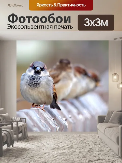 Фотообои Воробьи