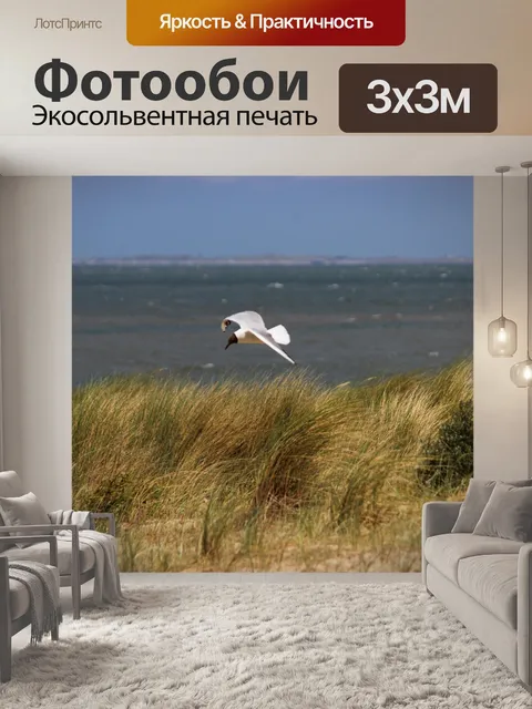 Фотообои Море
