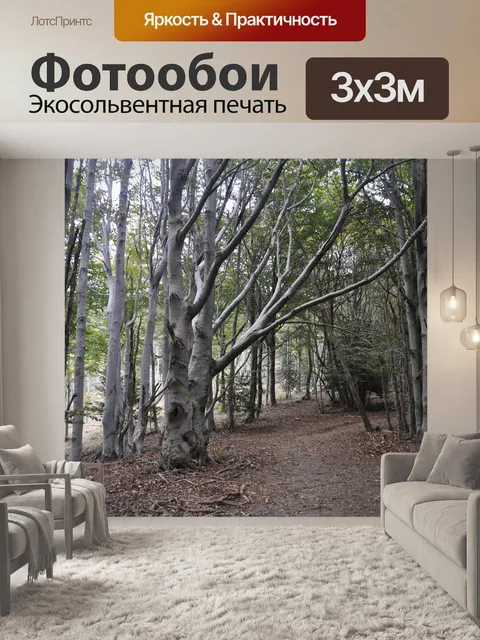 Фотообои Лес