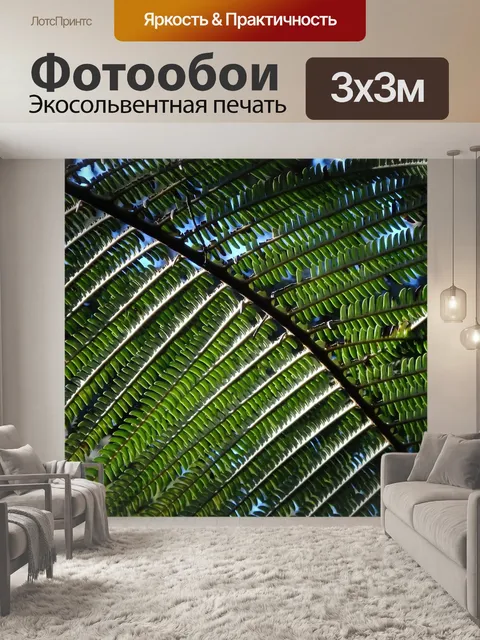 Фотообои Папоротник