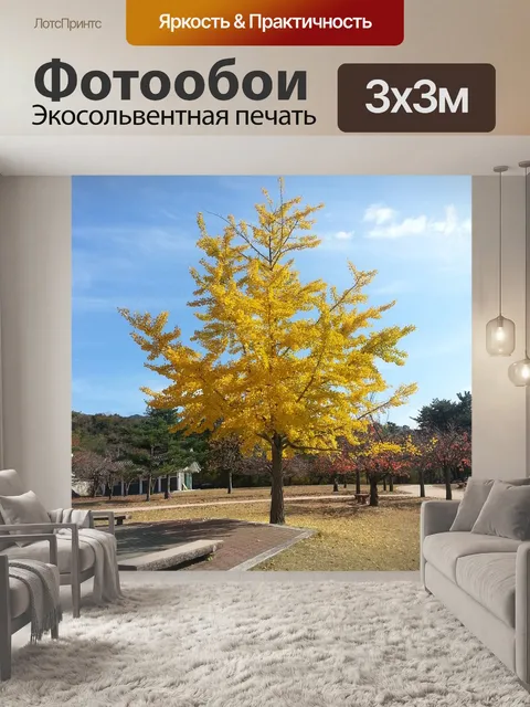 Фотообои Гинкго