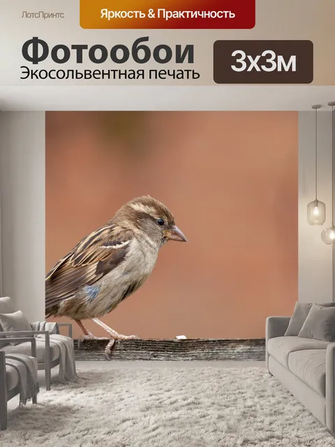 Фотообои Воробей