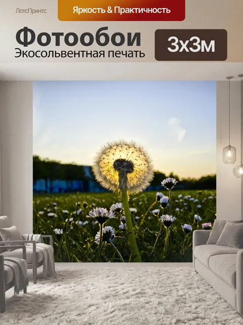 Фотообои Одуванчик