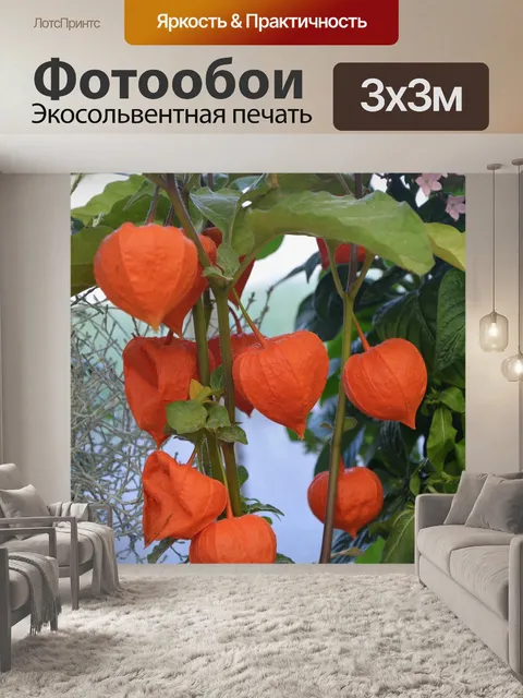 Фотообои Завод