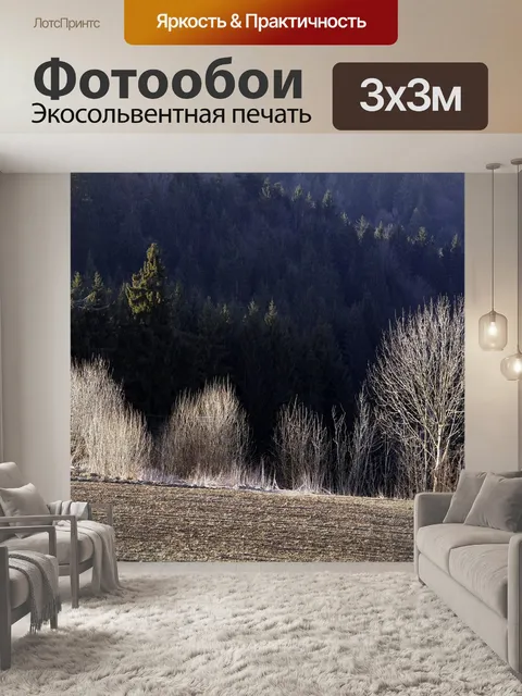 Фотообои Деревья