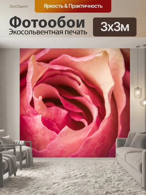 Фотообои Роза