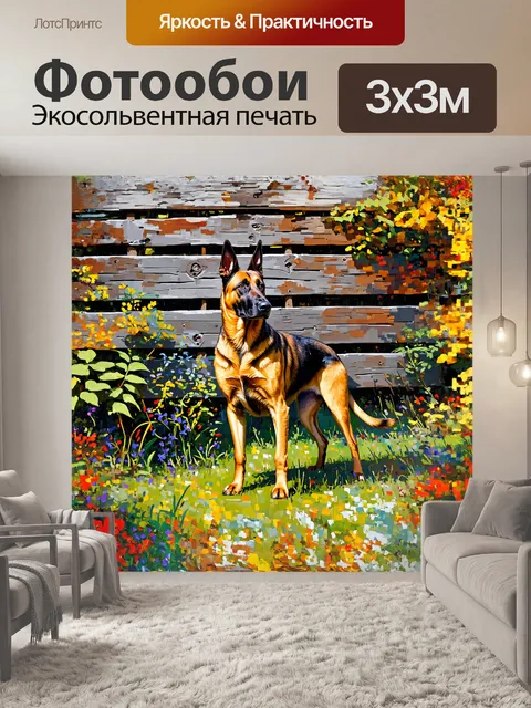 Фотообои малинуа, пастушья собака, весной, стоит на фоне старого деревянного забора, окруженного зеленью и цветами, в…