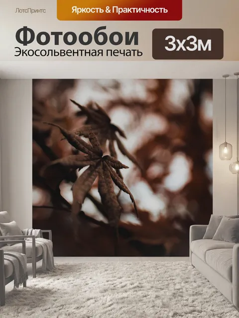 Фотообои Лист