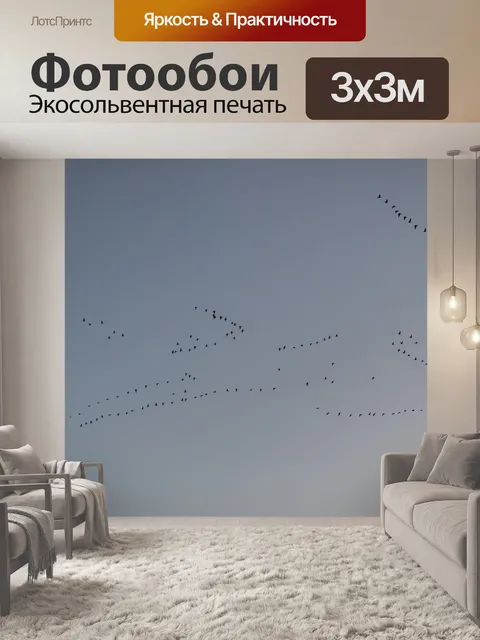 Фотообои Перелетные птицы