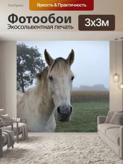Фотообои Лошадь
