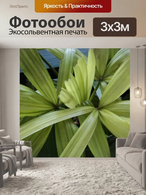 Фотообои длинные листья