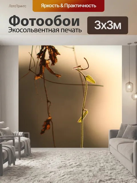 Фотообои Природа