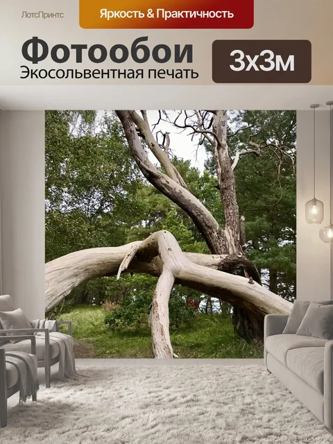 Фотообои Дерево