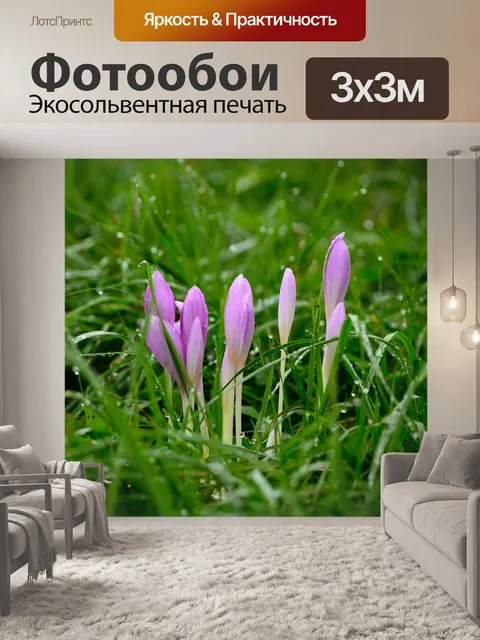 Фотообои Луг