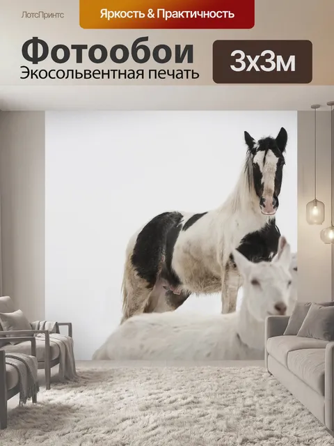 Фотообои Лошадь