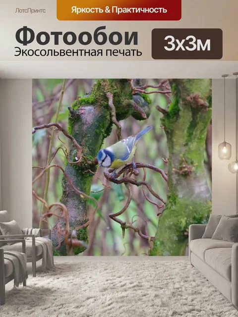 Фотообои Птица